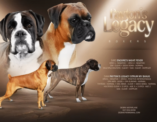 Payton’s Legacy Boxers