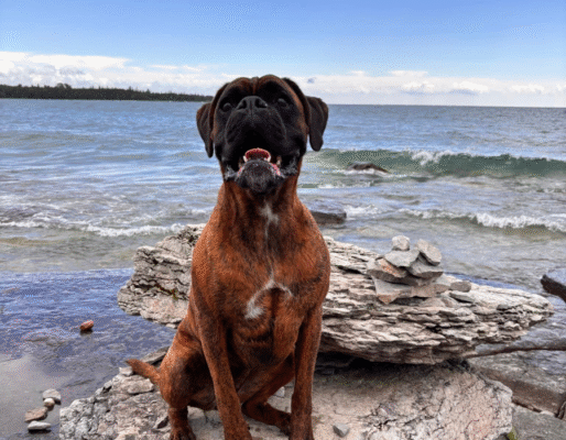 Payton’s Legacy Boxers