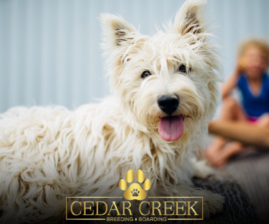 Cedarcreek West Highland Terriers